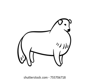 Vector outline sheltie, isolated on white background.
