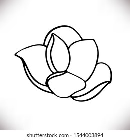 Vector outline  silhouette of hand drawn magnolia flower isolated on white background. Spring botanical design element. Perfect for print,banner,logo, greeting card,wedding invitations,web sites,apps 