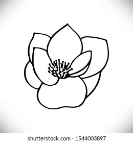 Vector outline  silhouette of hand drawn magnolia flower isolated on white background. Spring botanical design element. Perfect for print,banner,logo, greeting card,wedding invitations,web sites,apps 