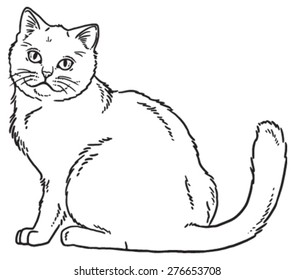 Vector outline sketch if a cat sitting and looking curious