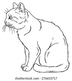 Vector outline sketch if a cat sitting