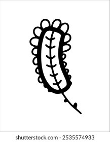 Bosquejo del contorno del Vector de una hoja o ramita sobre un fondo transparente separado. Formas naturales de plantas y flores para logo o diseño
