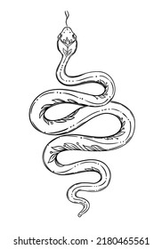 Vector outline snake. Magic symbol. Serpent art in trendy style. Wicca moon goddess symbol. Vector illustration. Tattoo, astrology, alchemy, boho and magic symbol. Coloring book.