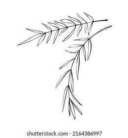 2,801 Rosemary outline Stock Illustrations, Images & Vectors | Shutterstock