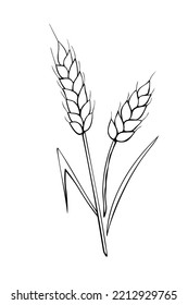 Vector outline spikelet of wheat isolated on white background. Hand drawn contour clipart in doodle style. Theme of bakery products, flour, harvest, thanksgiving.