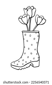 Vector outline spring tulip flowers in rubber rain boots. Cute seasonal spring floral illustration. Shoes as vase. Hand drawn design element, clip art in doodle style, isolated.