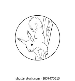 Vector outline squirrel on a tree trunk in the circle frame. Hand drawn illustration. Black isolated image on white background. Can be used as logo, postcard, cover for social media.