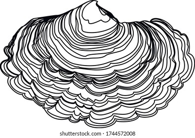 Vector outline Trametes or Coriolus versicolor or Turkey tail mushroom in black isolated on white background. Contour medicinal Turkey tail mushroom for autumn design or coloring book.