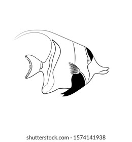 Vector outline tropical hand drawn fish.