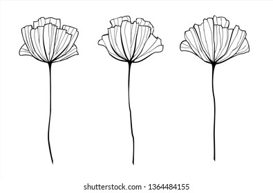 Vector outlined hand drawn flowers. Modern flat vector illustration.