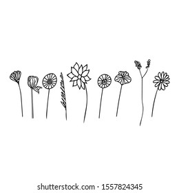 Vector outlined hand drawn set of flower. Modern flat vector illustration.