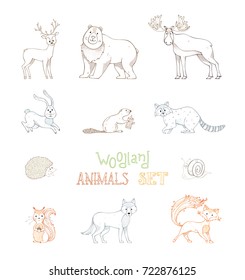 Vector outlined set of wild woodland animals. Hedgehog, snail, wolf, beaver, deer, fox, hare, squirrel, moose, bear and raccoon. Zoo hand-drawn collection isolated on white background.