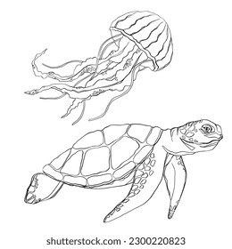 Vector outlined turtle and jellyfish cartoon design. Stylized vector. Style tattoo. Vector of turtle design on a white background. Reptile. Animals. Easy editable layered vector illustration.