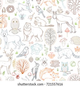 Vector outlined woodland seamless pattern. Wild animals, birds and insects. Autumn trees, mushrooms and leaves. Fox, wolf, deer, moose, bear, hare, squirrel, racoon, owl, bee, beaver, snail and snake.