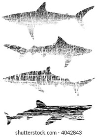 Vector outlines of sharks with grunge