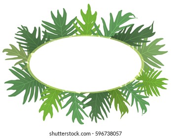 Vector oval frame illustration with tropical leaves. Green leaf floral pattern, place for text. Border of exotic tropic jungle leaves. Vector card. Botanical background, banner, vector graphic design
