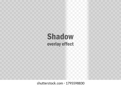 Vector overlay shadow effect mock up. Summer sunlight template for design, advertising, invitation etc.