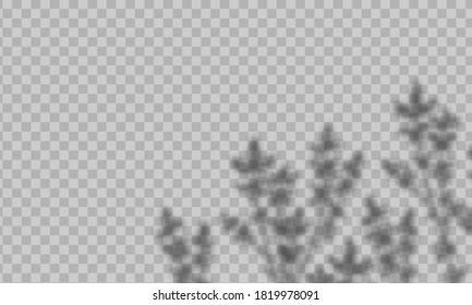 Vector overlay shadow effect. Mock up with soft light and blurred shadows from branches, plant and leaves isolated on transparent background