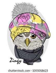 Vector owl with beret and grey knitted scarf. Hand drawn illustration of dressed owl. 