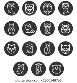 Vector owl bird animal illustration vector