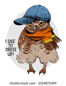 Vector owl with blue cap and scarf. Hand drawn illustration of dressed owl.