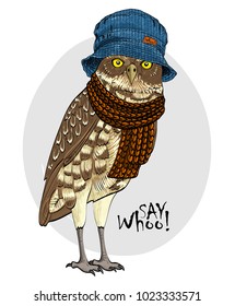 Vector owl with blue hat and knitted scarf. Hand drawn illustration of dressed owl.
