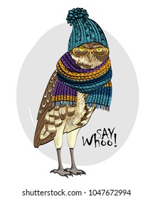 Vector owl with  blue  knitted hat with glasses and scarf. Hand drawn illustration of dressed owl.
