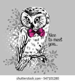 Vector owl with bow. Hand drawn illustration of dressed owl.