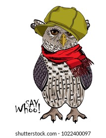 Vector owl with cap and scarf. Hand drawn illustration of owl. 