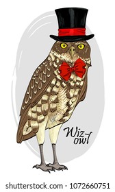 Vector owl with cylinder. Hand drawn illustration of dressed owl. Owl-illusionist. 5