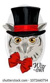 Vector owl with cylinder. Hand drawn illustration of dressed owl. Owl-illusionist. 2