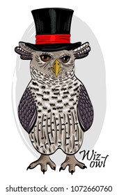 Vector owl with cylinder. Hand drawn illustration of dressed owl. Owl-illusionist. 4