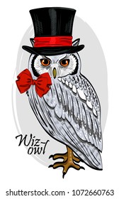 Vector owl with cylinder. Hand drawn illustration of dressed owl. Owl-illusionist. 3