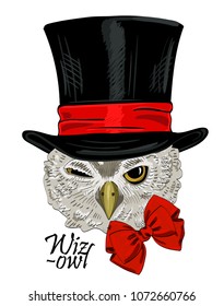 Vector owl with cylinder. Hand drawn illustration of dressed owl. Owl-illusionist. 1