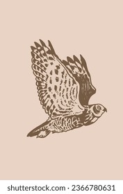 Vector owl flying ,graphical  vintage illustration