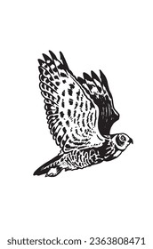 Vector owl flying on white,graphical illustration