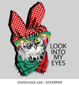 Vector owl with glasses and headscarf. Hand drawn illustration of owl.
