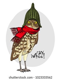 Vector owl with green knitted hat and red scarf. Hand drawn illustration of dressed owl.