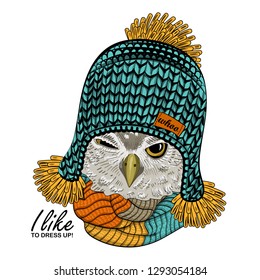 Vector owl with green knitted hat  and knitted scarf. Hand drawn illustration of dressed owlet.