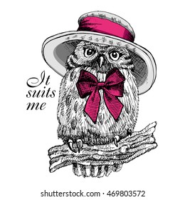 Vector owl in a hat and bow. Hand drawn illustration of dressed owl.