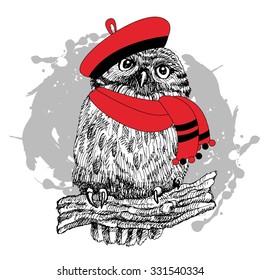 Vector owl in hat  White  black  red 