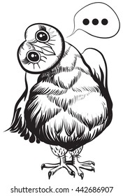 Vector owl. Illustration of an owl. Cartoon owl characters. Hand drawn illustration of an owl. Cute owl with turned to side head.