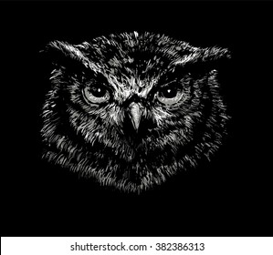 Vector Owl Image On A Black Background.