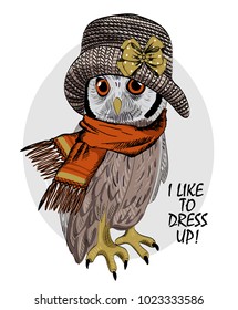 Vector owl with knitted hat and orange scarf. Hand drawn illustration of dressed owl.