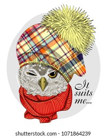 Vector owl with knitted hat and red scarf. Hand drawn illustration of dressed owl. 