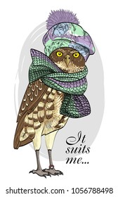 Vector owl with knitted hat and scarf. Hand drawn illustration of dressed owl. 10