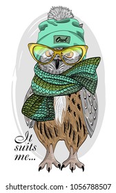 Vector owl with knitted hat and scarf. Hand drawn illustration of dressed owl. 4