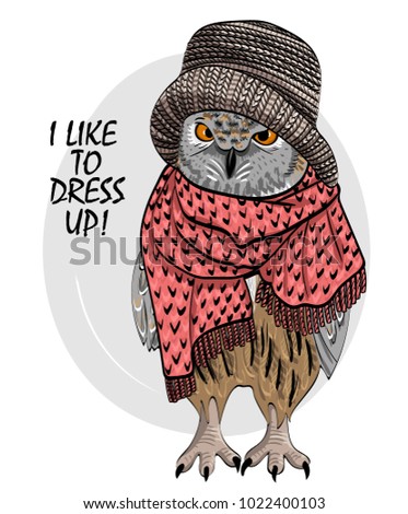 Vector owl with knitted hat and scarf. Hand drawn illustration of owl. 