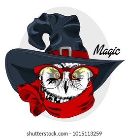 Vector owl with magic hat and red scarf. Hand drawn illustration of owl. 