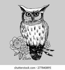 Vector owl on a branch with flowers.